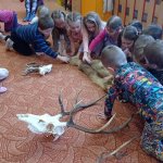phoca_thumb_m_myslivost 17 Fotogalerie